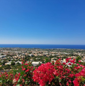 Peyia Sea View Studio